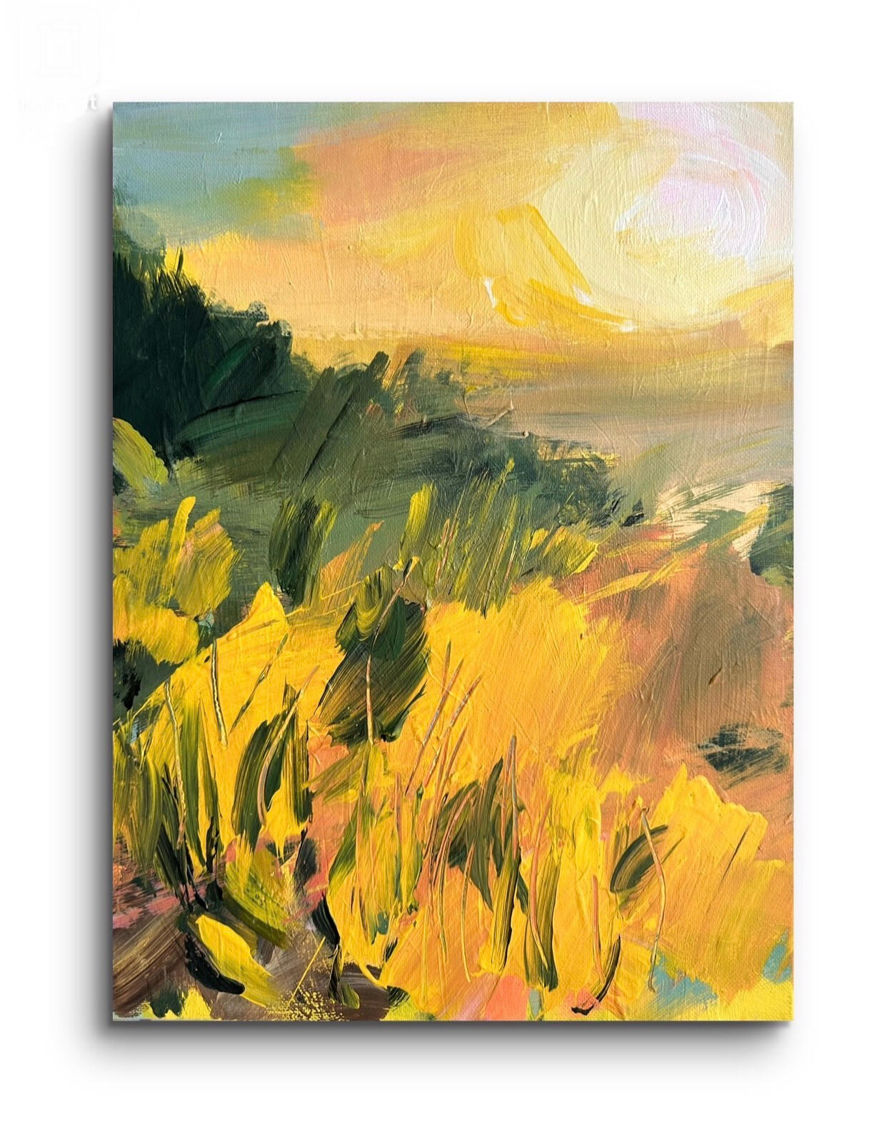 For enquiries regarding available artworks, pricing and commissions, please email: alexandragetsko@gmail.com